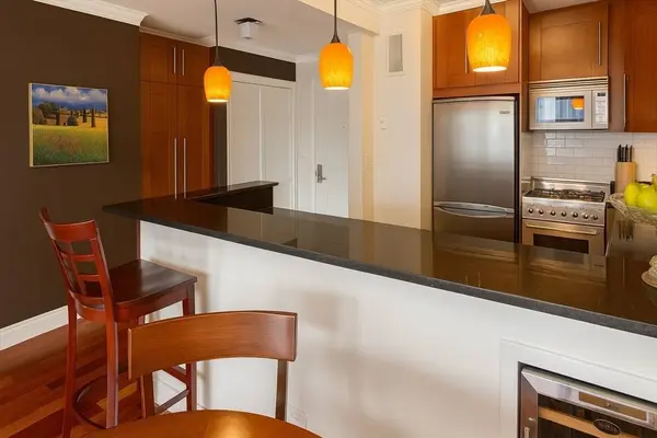 151 Tremont St #24U, Boston, MA 02111