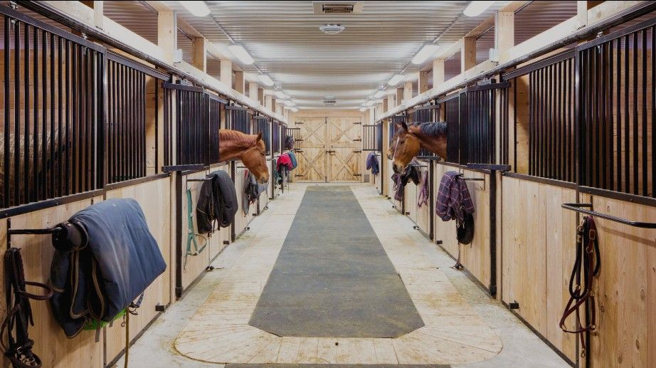 Equestrian