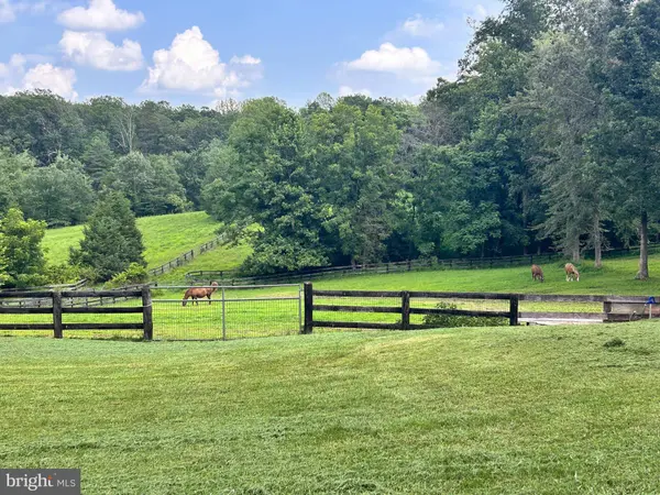 409 COOK MOUNTAIN DR, Brightwood, VA 22715