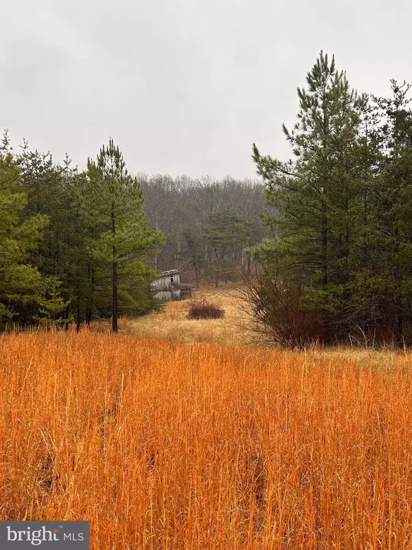 1990 COLLINSVILLE RD, Cross Junction, VA 22625