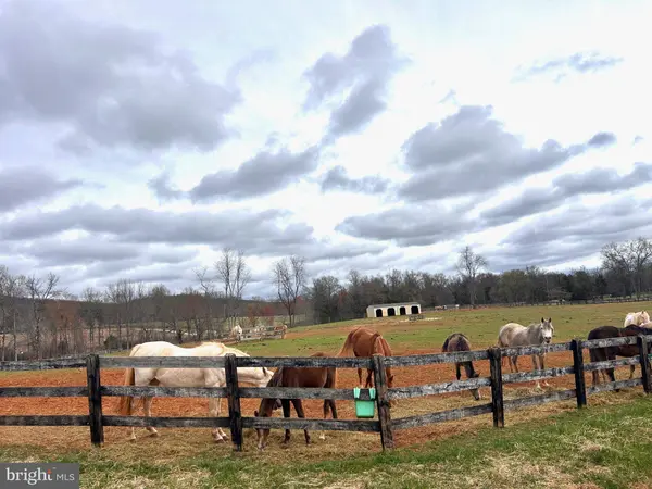 19050 MONTEITH FARM RD, Gordonsville, VA 22942