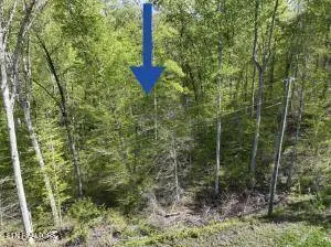 2728 Norton Rd, Dandridge, TN 37725