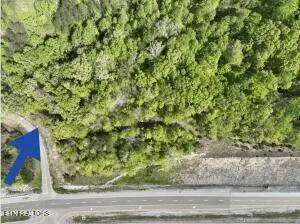 2728 Norton Rd, Dandridge, TN 37725