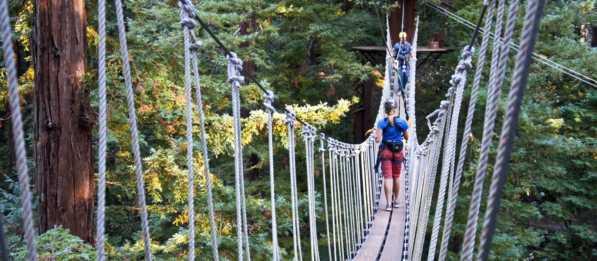 walking across suspension bridge santa cruz