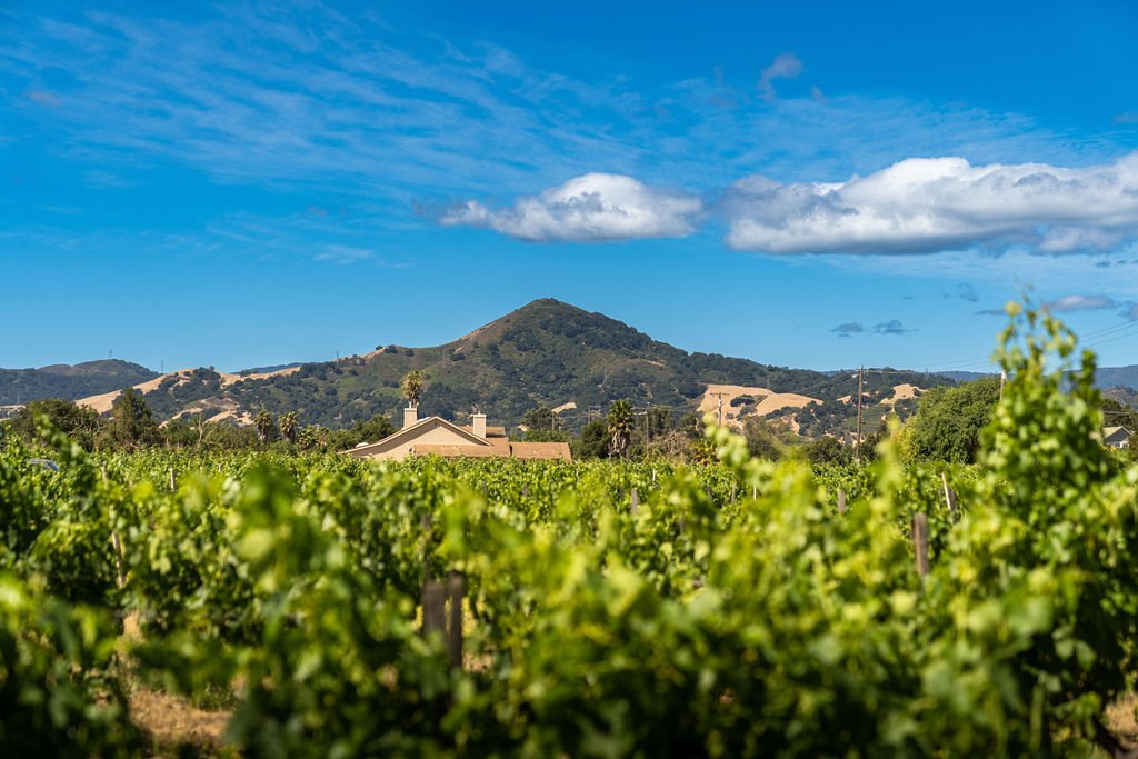 Morgan Hill California 