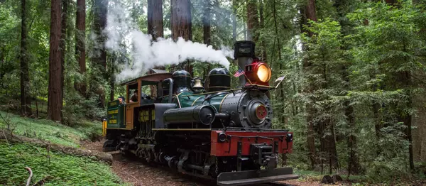 Santa Cruz, CA: Where Coastal Beauty Meets Vibrant Community Living