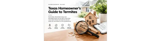 Texas Homeowner's Guide to Termites,Candace Carew