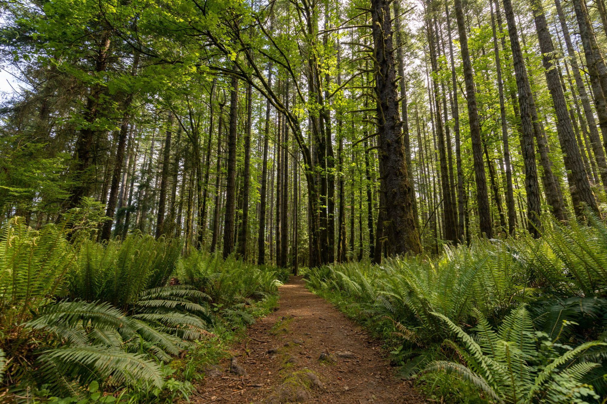 Issaquah Highlands
