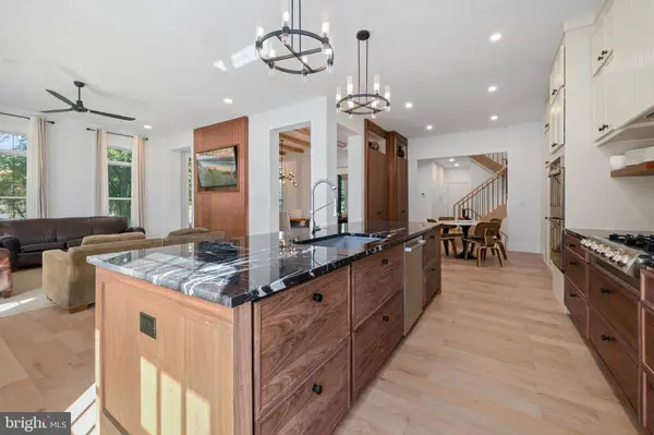 18441 LANIER ISLAND SQ, Leesburg, VA 20176