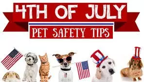 4th of July Pet Safety Tips: How to Protect Your Pet During the Fireworks