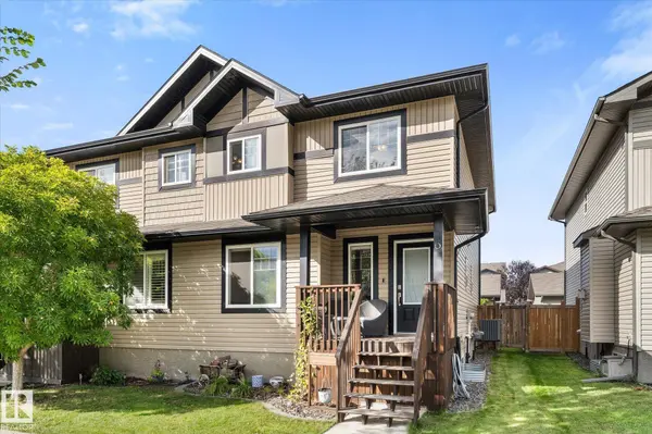 6 ROSEBERRY