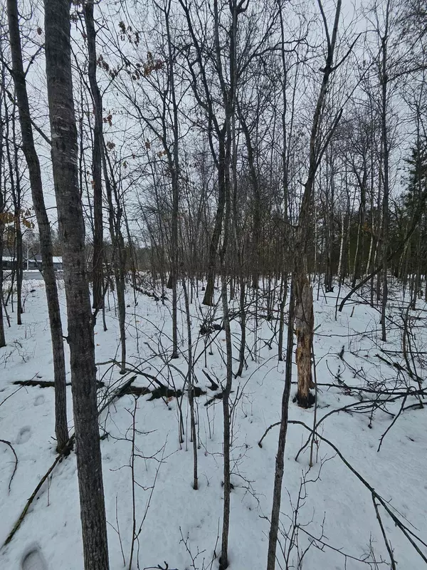 Lot 8 Honeysuckle WAY, Baxter, MN 56425