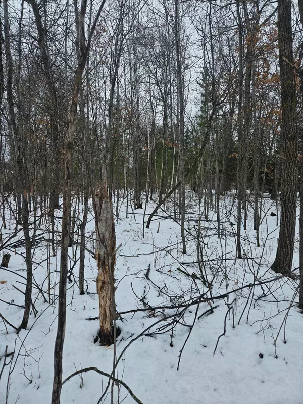 Lot 8 Honeysuckle WAY, Baxter, MN 56425