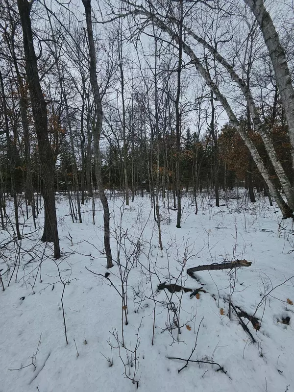 Lot 8 Honeysuckle WAY, Baxter, MN 56425