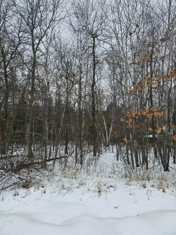 Lot 8 Honeysuckle WAY, Baxter, MN 56425