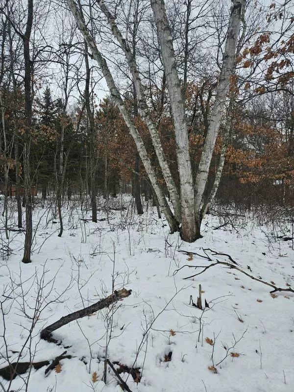 Lot 8 Honeysuckle WAY, Baxter, MN 56425