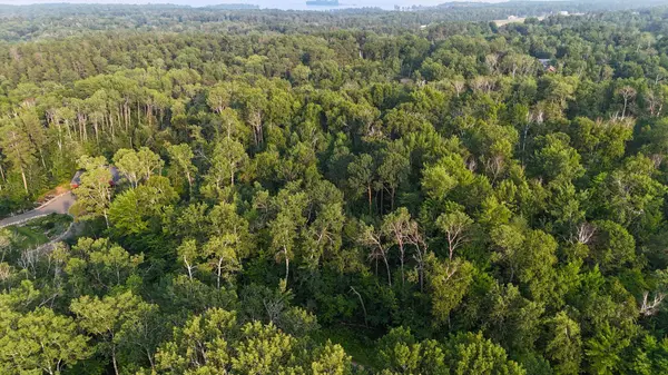 TBD Raccoon LN, Breezy Point, MN 56472