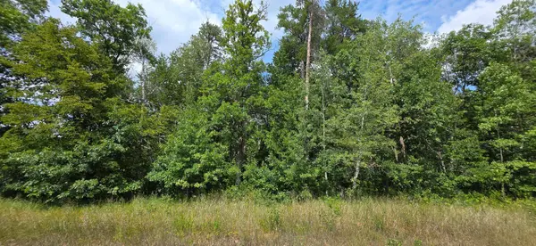TBD Peony LN, Breezy Point, MN 56472