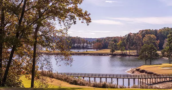 gwinnett-county-lake-through-trees