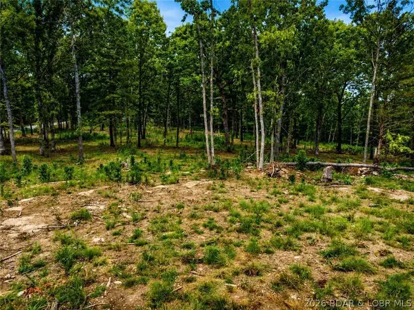 TBD Crystal Spring RD, Linn Creek, MO 65052
