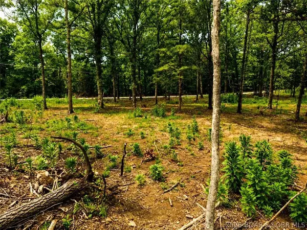 TBD Crystal Spring RD, Linn Creek, MO 65052