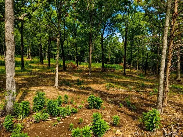 TBD Crystal Spring RD, Linn Creek, MO 65052