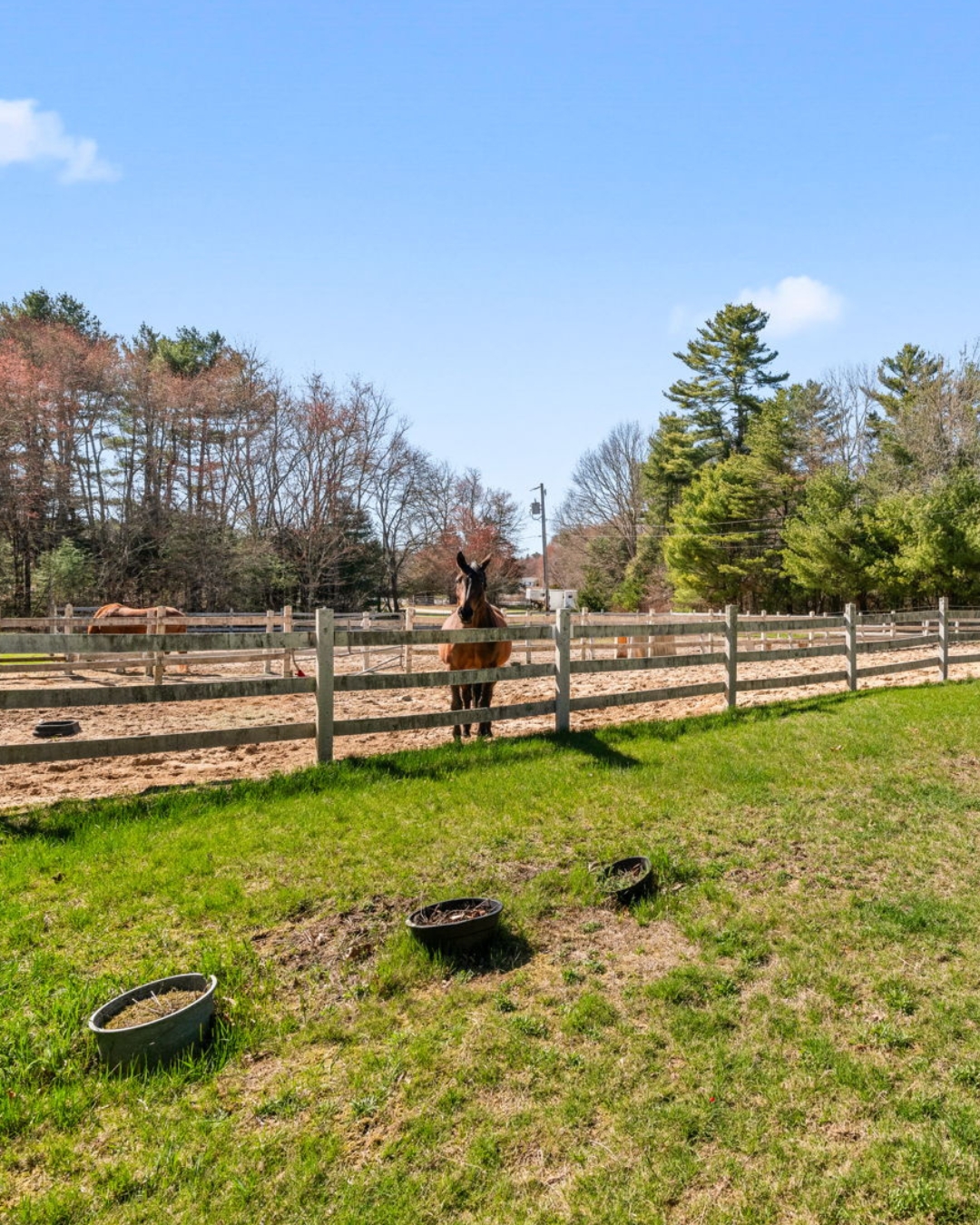 Equestrian farm Rochester, MA