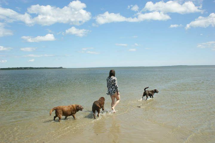 Molly with dogs - 2006