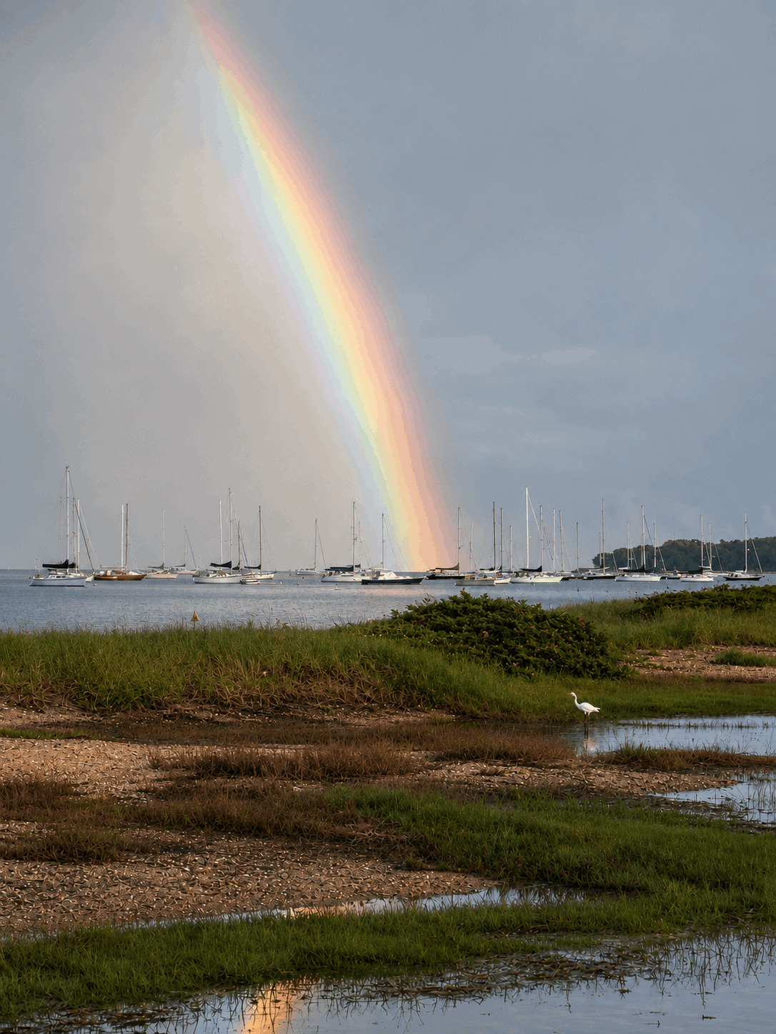 Rainbow landing in Padanaram Harbor with an egret in the marsh foreground