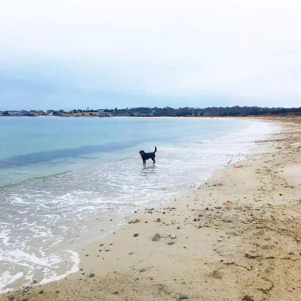 59F296D8-5547-4F62-AB8C-EBC74DDE1EE9