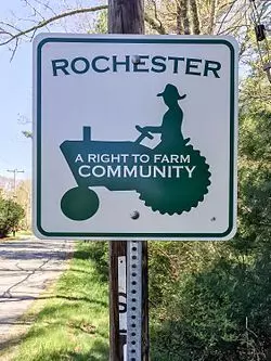 rochester ma