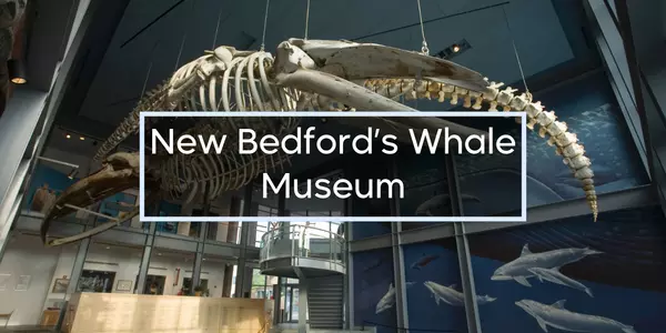 Our Visit to the New Bedford Whaling Museum