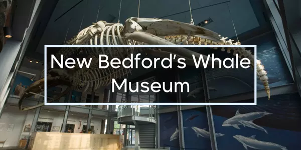 Our Visit to the New Bedford Whaling Museum