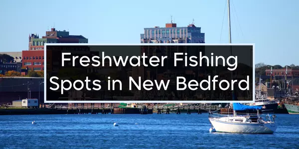 My Recomendation of Freshwater Fishing Spots Around New Bedford