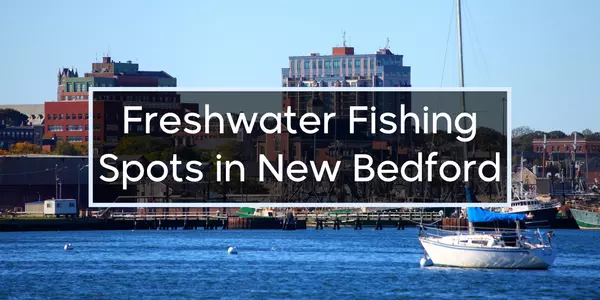 My Recomendation of Freshwater Fishing Spots Around New Bedford