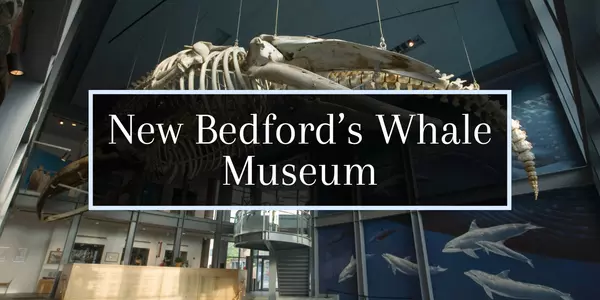Our Visit to the New Bedford Whaling Museum,Molly Armando