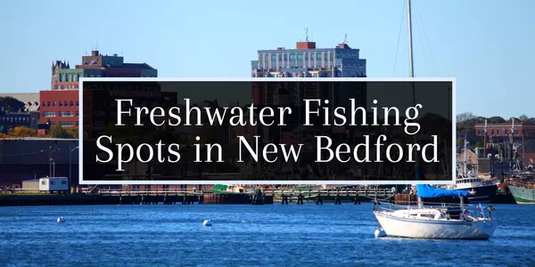 My Recomendation of Freshwater Fishing Spots Around New Bedford,Molly Armando