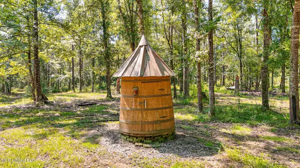 114 Mustang Drive, Wesson, MS 39191