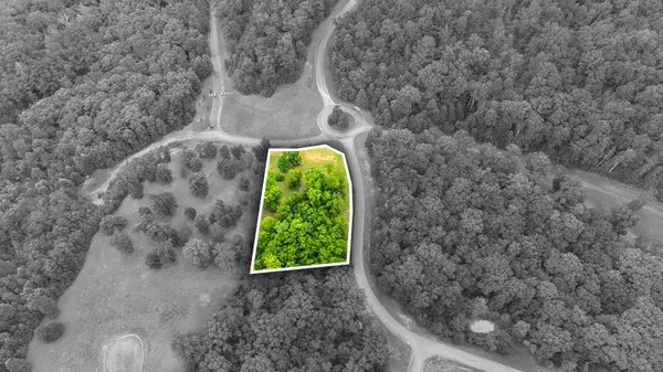 415 Rivermyst DR, Spring City, TN 37381