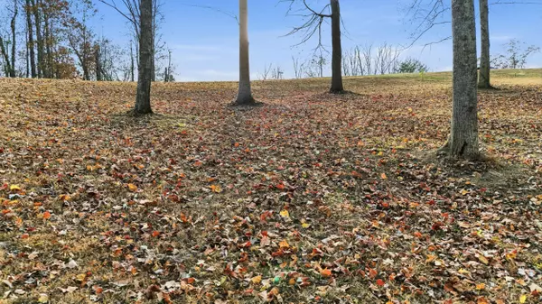 481 Hidden Forest TRL, Spring City, TN 37381