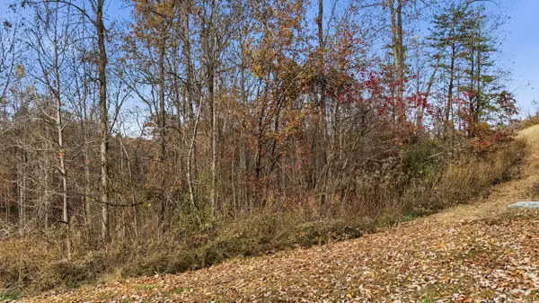 481 Hidden Forest TRL, Spring City, TN 37381