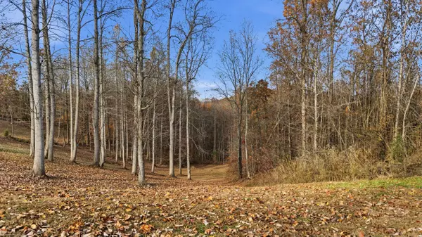 481 Hidden Forest TRL, Spring City, TN 37381