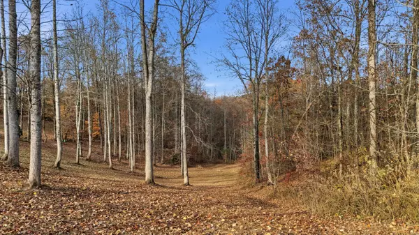 481 Hidden Forest TRL, Spring City, TN 37381