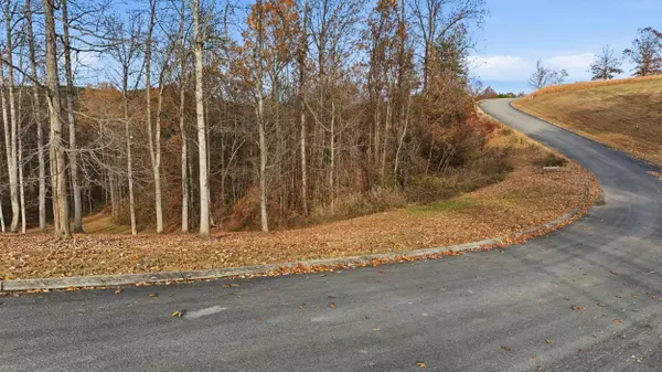 481 Hidden Forest TRL, Spring City, TN 37381