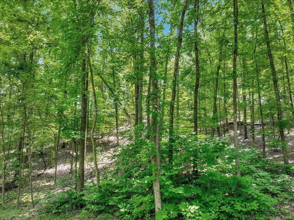 0 Park DR, Dayton, TN 37321