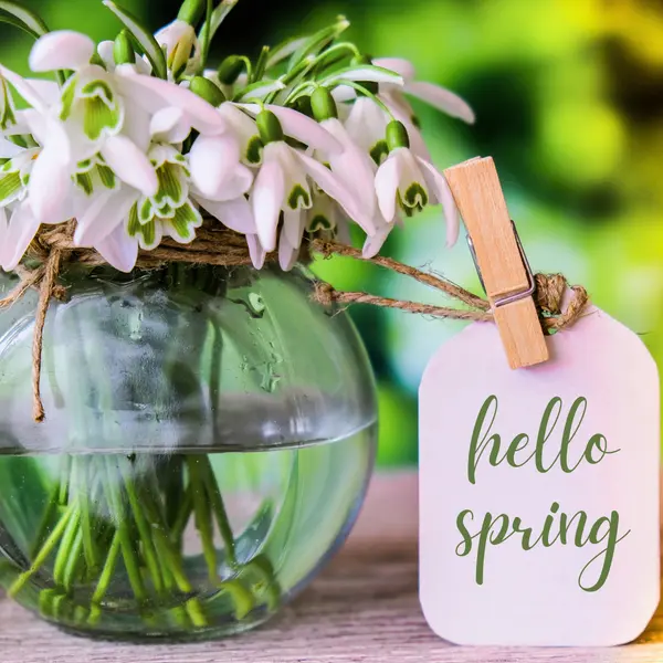 Things to Do This Weekend in Cobb County & Metro Atlanta,Justine Derby