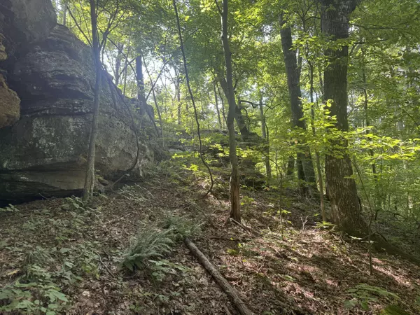 0 Hwy 1050, Jeffersonville, KY 40337