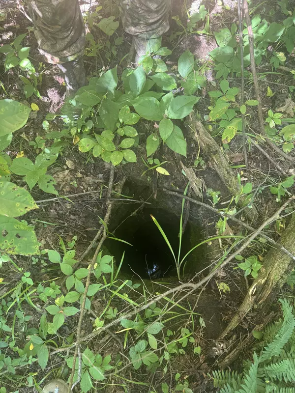 0 Hwy 1050, Jeffersonville, KY 40337