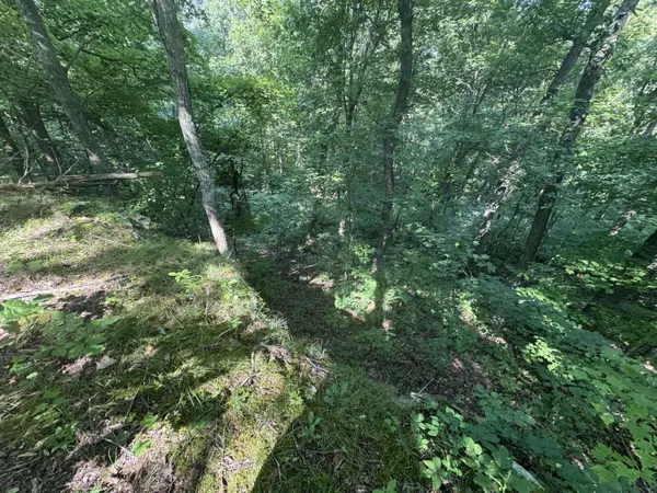 0 State Hwy 1050, Jeffersonville, KY 40337