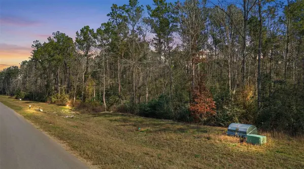 10733 Ruger RD, Willis, TX 77378